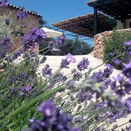 Lavender Hill Hvar - Pool, Jacuzzi,sauna,bbq Villa Stari Grad (Hvar)