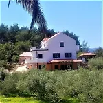 Lavender Hill Hvar - Pool, Jacuzzi,sauna,bbq Villa *