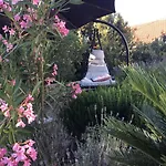 Lavender Hill Hvar - Pool, Jacuzzi,sauna,bbq Villa *