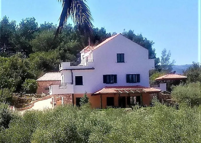 Lavender Hill Hvar - Pool, Jacuzzi,sauna,bbq Villa *